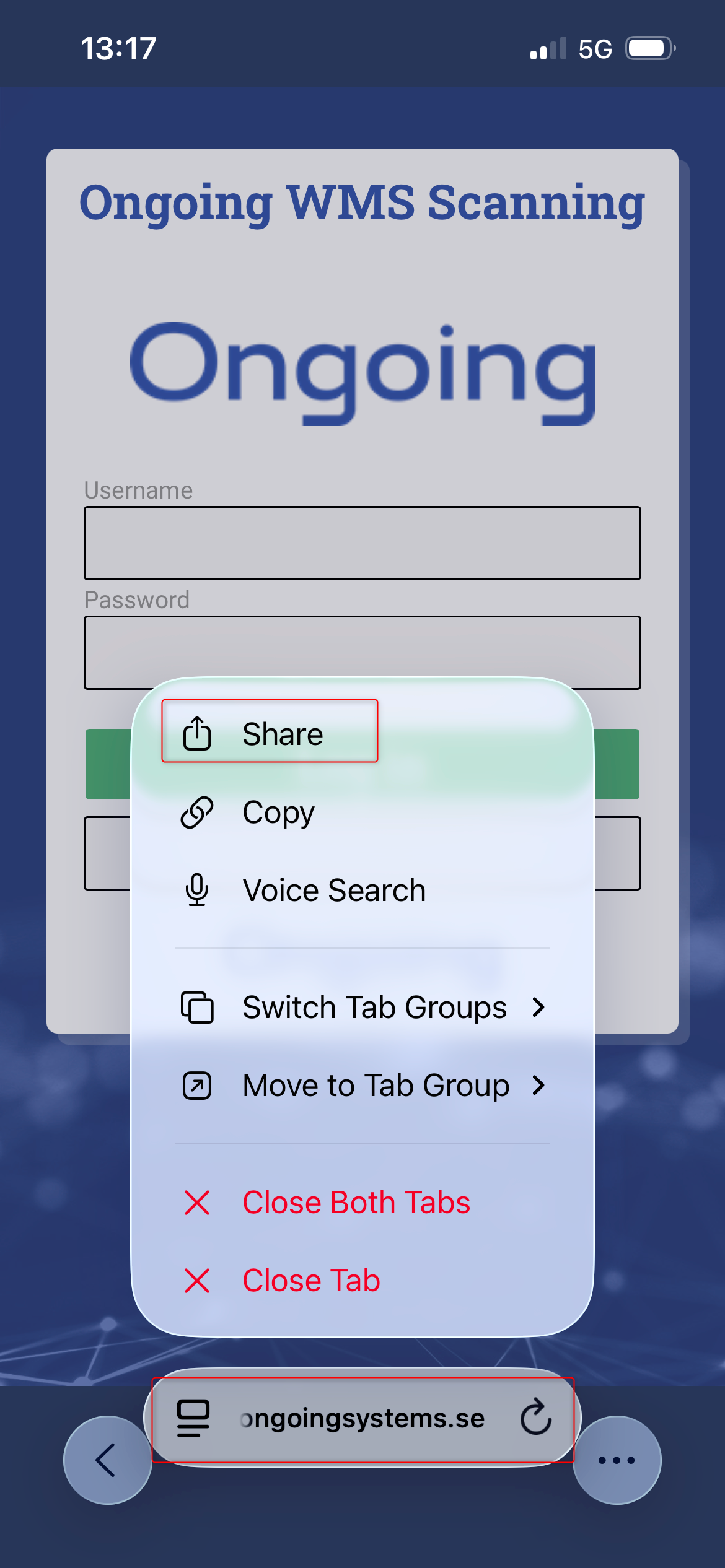 Options icon in Safari